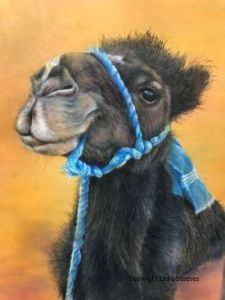 My New Friend Mo CP e-Packet and Prep Video